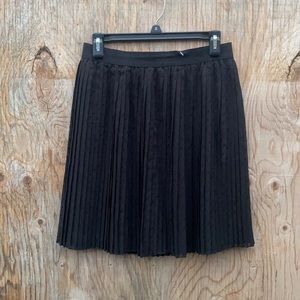 Pleated see through skirt with lining.